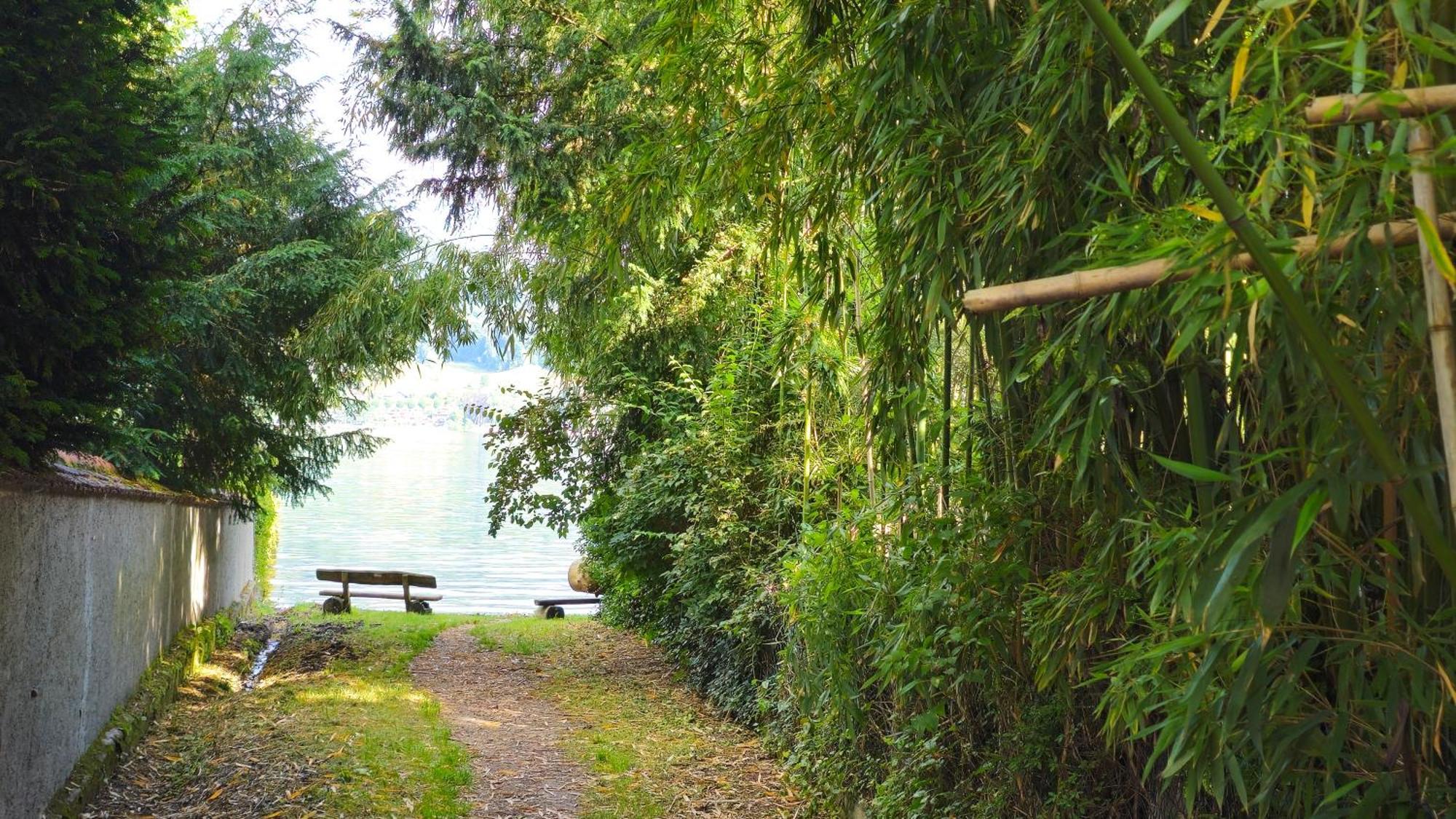 Seepanorama Ohningen Bagian luar foto